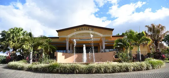 Salón Camaleon